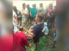 Petaka di Bengawan Solo: Perahu Terbalik, Pencari Ikan Asal Bojonegoro Meninggal IMG 20251130 WA0007