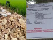 Bangunan Irigasi di Tuban Diduga Asal Jadi, Warga Bongkar Fakta InCollage 20251114 105606791 copy 1280x719