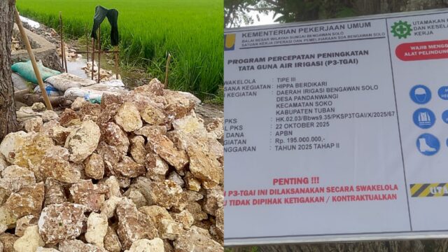 InCollage 20251114 105606791 copy 1280x719