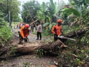 Bojonegoro Waspada, BPBD Himbau Warga Siaga Hadapi Cuaca Ekstrem Jelang Akhir Tahun Screenshot 20251107 233336 copy 1280x827