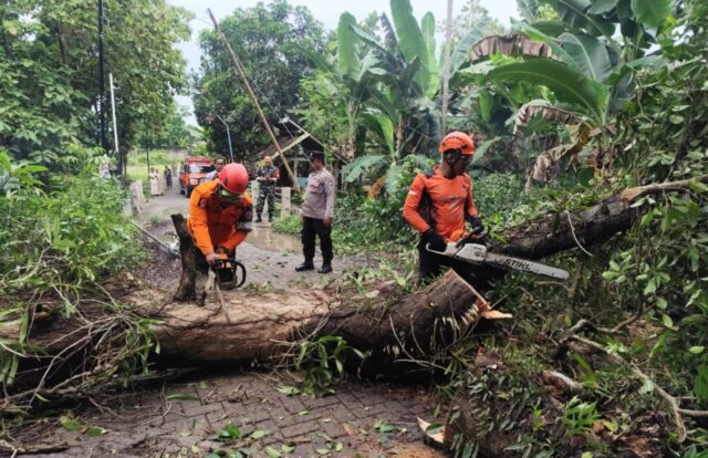 Screenshot_20251107-233336_copy_1280x827 Screenshot 20251107 233336 copy 1280x827