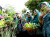 Arumi Bachsin Panen Sayur di Bojonegoro, Kader PKK Guyangan Bikin Kagum IMG 20251204 WA0016