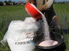 Menjelang Musim Tanam, Distribusi Pupuk Bojonegoro Dikebut IMG 20251210 WA0029