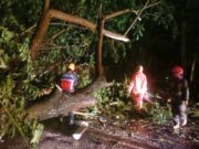 Satu Malam Dua Lokasi di Bojonegoro Ini Terdampak Angin Kencang IMG 20251212 WA0001