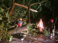 Satu Malam Dua Lokasi di Bojonegoro Ini Terdampak Angin Kencang IMG 20251212 WA0001