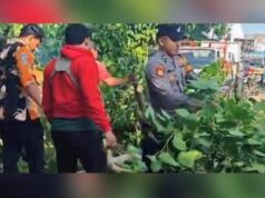 Pohon Tumbang Lumpuhkan Deandels Lamongan, Evakuasi Kilat Selamatkan Lalu Lintas IMG 20251212 WA0009