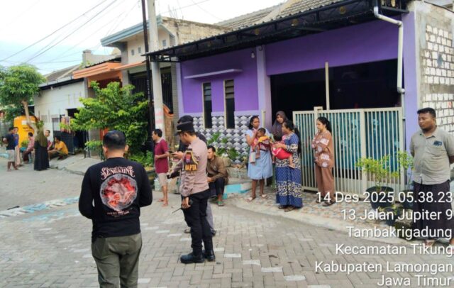 IMG-20251214-WA0012 IMG 20251214 WA0012