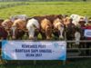 Bantuan Ternak Jadi Bancakan, Sapi Desa Ngadipuro Tuban Lenyap Semua IMG 20251214 WA0016