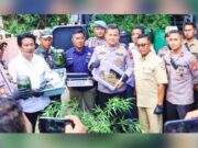 Satresnarkoba Jombang Gagalkan Budidaya Ganja di Rumah Kontrakan IMG 20251216 WA0036