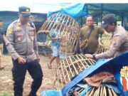 Polresta Banyuwangi Ratakan Sarang Judi Milik AJ di Dusun Garit IMG 20251221 WA0013
