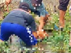 Insiden Maut di Persawahan Kalitidu Bojonegoro, Anak 10 Tahun Tewas Tersengat Listrik 1768652569404 copy 1280x857