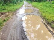 Pantai Sowmil Wonosobo Tanggamus Ramai, Jalan Masuknya Justru Hancur IMG 20260102 WA0004