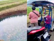 Sawah Luluih Muncul Lagi di Limapuluh Kota, Warga Diminta Menjauh IMG 20260107 WA0007