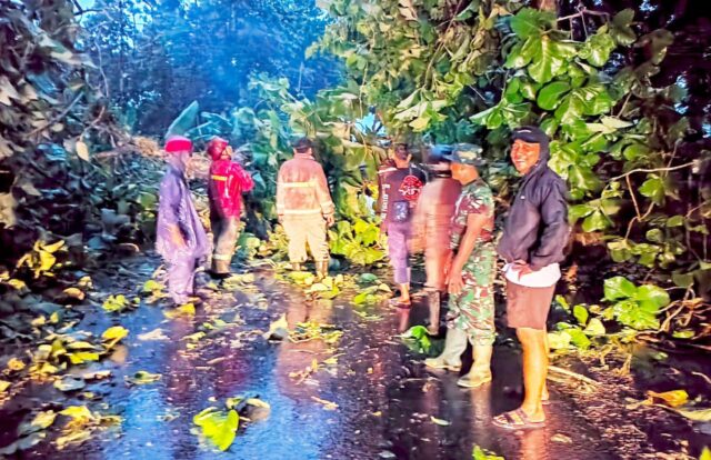 IMG-20260109-WA0015 IMG 20260109 WA0015