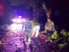 Kapolsek Karanggeneng Lamongan Turun Langsung Tangani Pohon Tumbang IMG 20260109 WA0017
