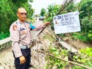 Gerusan Sungai Parah, Jembatan Sewor Sukorame Lamongan Tak Aman Dilalui IMG 20260109 WA0019