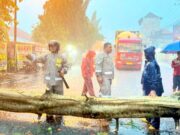 Cuaca Ekstrem Picu Pohon Tumbang, Arus Babat Lamongan Sempat Tersendat IMG 20260110 WA0004
