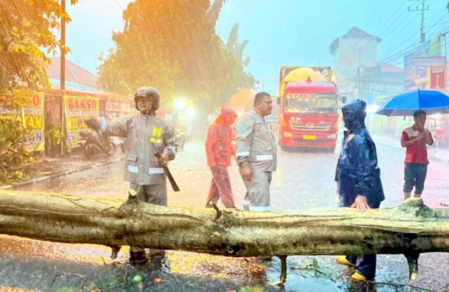 IMG-20260110-WA0004 IMG 20260110 WA0004