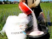 Kabar Gembira Petani, Kuota Pupuk Subsidi Bojonegoro Bertambah IMG 20260110 WA0005
