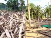 Sebulan Pascabanjir, Desa Pengidam Aceh Tamiang Masih Tertimbun Kayu IMG 20260112 WA0006