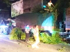 Polsek Padangan Bojonegoro Sigap Tangani Laka Tunggal Truk di Desa Kuncen IMG 20260114 WA0014