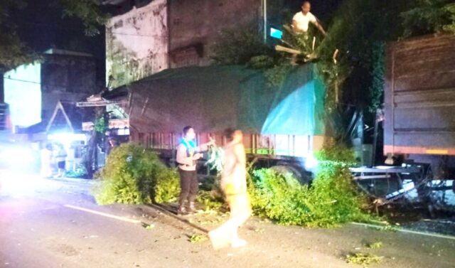 IMG-20260114-WA0014 IMG 20260114 WA0014