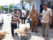 Peternakan Rakyat Digenjot, Bojonegoro Tambah Penerima Domba IMG 20260124 WA0004
