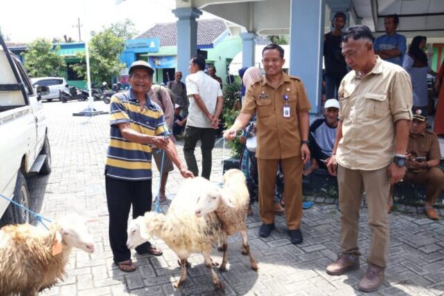 IMG-20260124-WA0004 IMG 20260124 WA0004