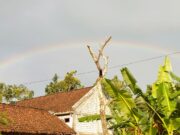 Keindahan Alam Bojonegoro Timur: Pelangi Sore Bikin Warga Terpukau IMG 20260124 WA0040