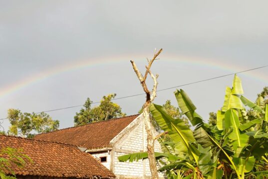 Keindahan Alam Bojonegoro Timur: Pelangi Sore Bikin Warga Terpukau IMG 20260124 WA0040