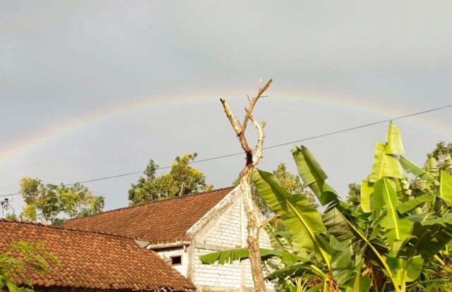 IMG-20260124-WA0040 IMG 20260124 WA0040