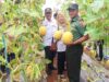 Panen Melon Modern di Lamongan, Sinergi TNI dan BAZNAS Jadi Kunci Sukses IMG 20260129 WA0016