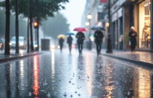 Cuaca Bojonegoro Minggu Pagi hingga Dini Hari Didominasi Berawan IMG 20260201 WA0015