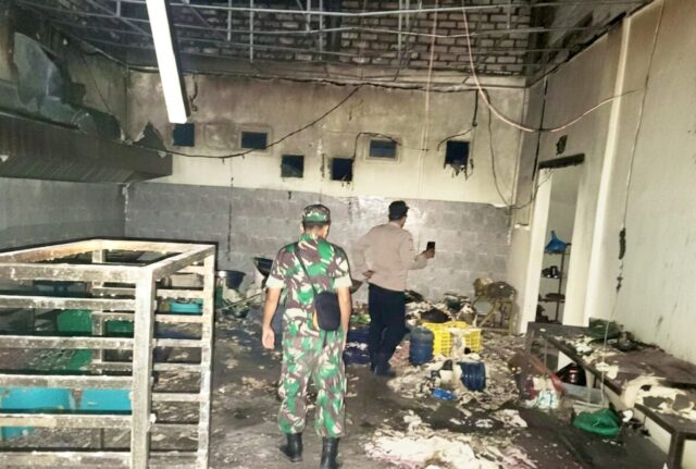 IMG-20260202-WA0017 IMG 20260202 WA0017