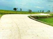 Dulu Licin dan Rusak, Kini Jalan Desa Gayam Bojonegoro Mulus dan Kokoh IMG 20260202 WA0034