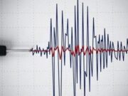 Breaking News: Gempa Magnitudo 3,6 Terjadi di Malang IMG 20260206 WA0019