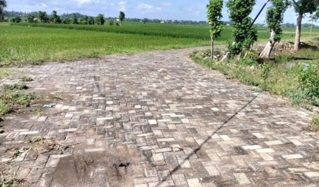 IMG-20260211-WA0002 IMG 20260211 WA0002