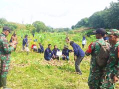TNI PJI Bojonegoro Bersatu Tanam Pohon, Dukung Lingkungan dan Ketahanan Pangan IMG 20260212 WA0037