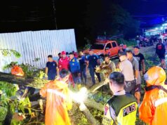 Cuaca Ekstrem Terjang Lamongan, Polisi Evakuasi Mobil Tertimpa Pohon IMG 20260213 WA0007