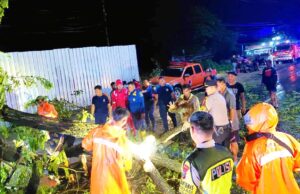 Cuaca Ekstrem Terjang Lamongan, Polisi Evakuasi Mobil Tertimpa Pohon IMG 20260213 WA0007