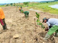 Cuaca Tak Menentu, Tiga Pilar Kedungsumber Bojonegoro Kompak Tanam 800 Pohon IMG 20260213 WA0026