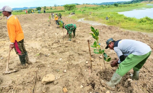 IMG-20260213-WA0026 IMG 20260213 WA0026