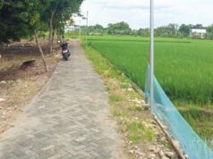 Forum Internal Ungkap Angka Baru, Proyek Jalan Desa Mori Bojonegoro Tuai Gunjingan IMG 20260214 WA0018