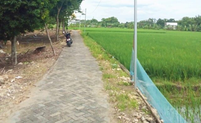 IMG-20260214-WA0018 IMG 20260214 WA0018