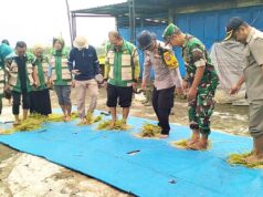 Panen Raya Ngimbang Jadi Energi Baru Petani Lamongan IMG 20260214 WA0030