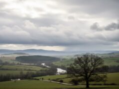 Cuaca Bojonegoro 14 Februari 2026: Cerah Berawan Seharian IMG 20260214 WA0032