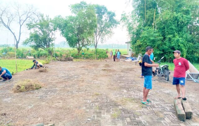 IMG-20260215-WA0035 IMG 20260215 WA0035