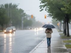 Update Prakiraan Cuaca Bojonegoro Senin 16 Februari 2026: Siang Hujan Ringan IMG 20260216 WA0010