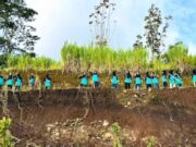 Santri dan Aktivis Alam Hijaukan Panderman Kota Batu IMG 20260216 WA0021