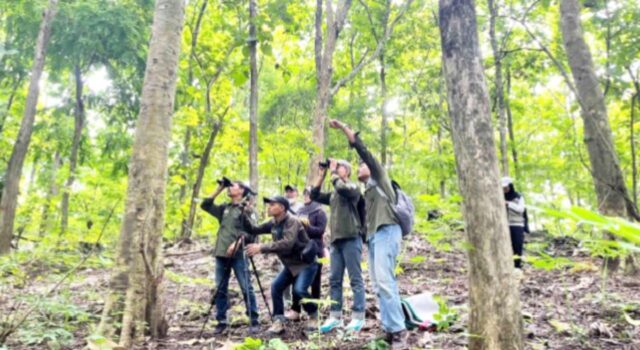 Puluhan Anggrek Langka Ditemukan di Hutan Jati Bojonegoro IMG 20260218 WA0018